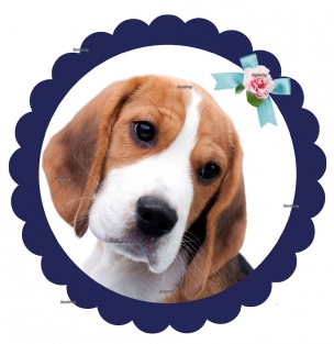 Strijkapplicatie Beagle Okkie